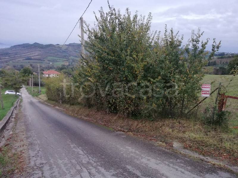 terreno agricolo in vendita a Caiazzo
