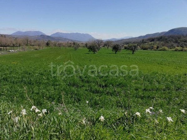 terreno agricolo in vendita a Caiazzo