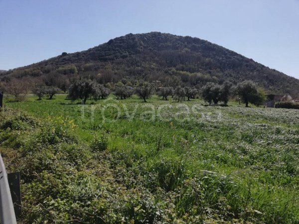 terreno agricolo in vendita a Caiazzo