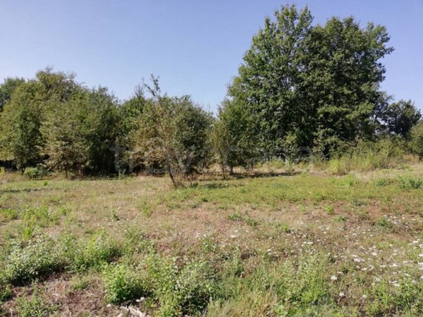 terreno agricolo in vendita a Caiazzo