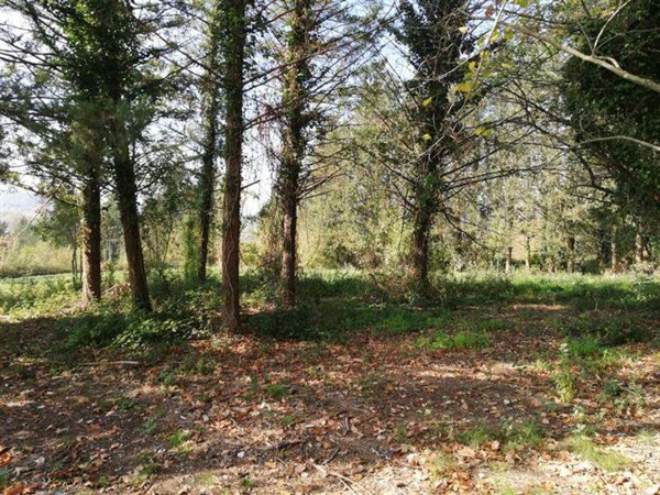 casa indipendente in vendita a Caiazzo