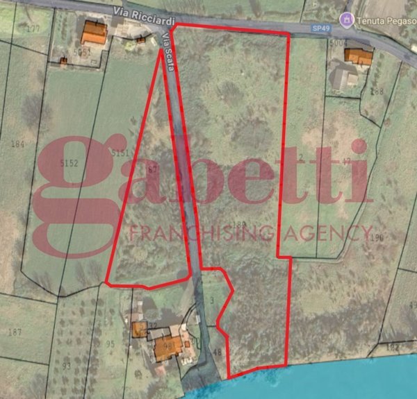 terreno agricolo in vendita a Caiazzo