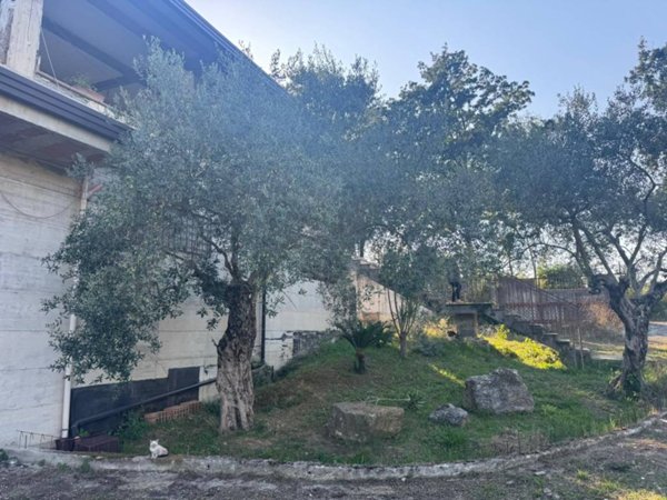 casa indipendente in vendita a Caiazzo