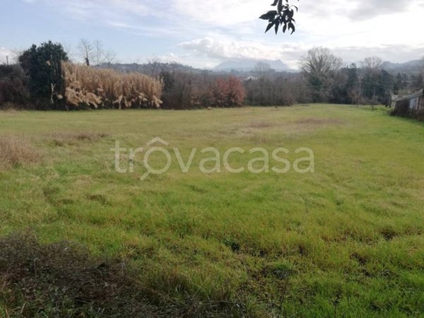terreno agricolo in vendita a Caiazzo