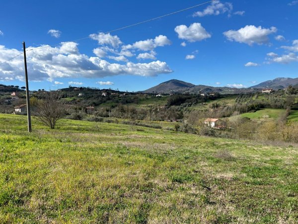 terreno agricolo in vendita a Caiazzo