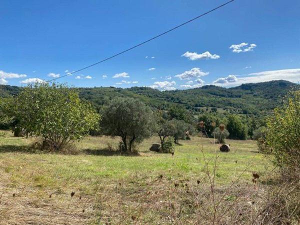 casa indipendente in vendita a Caiazzo in zona Cesarano