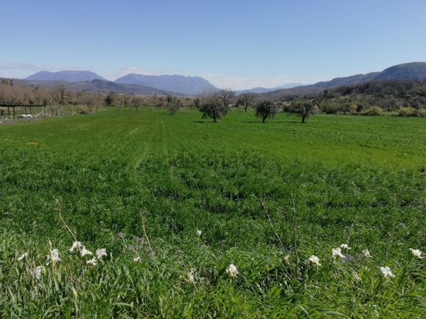 terreno in vendita a Caiazzo in zona Cesarano