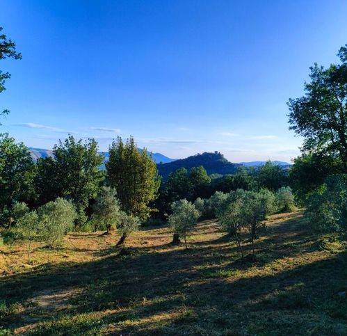 terreno in vendita a Caiazzo in zona Cesarano