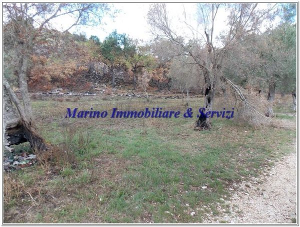 terreno agricolo in vendita a Calvi Risorta
