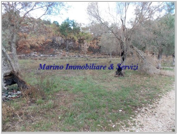terreno agricolo in vendita a Calvi Risorta