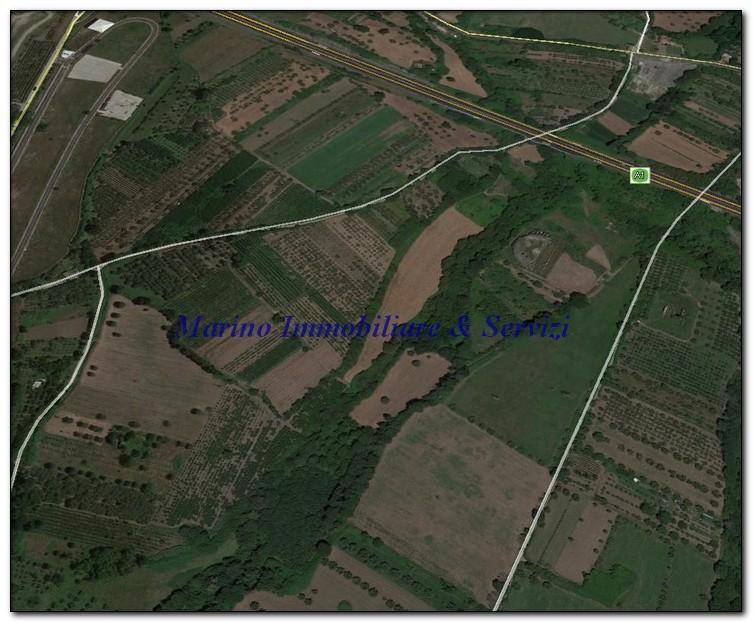 terreno agricolo in vendita a Calvi Risorta