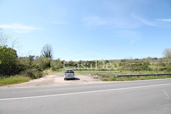 terreno edificabile in vendita a Calvi Risorta
