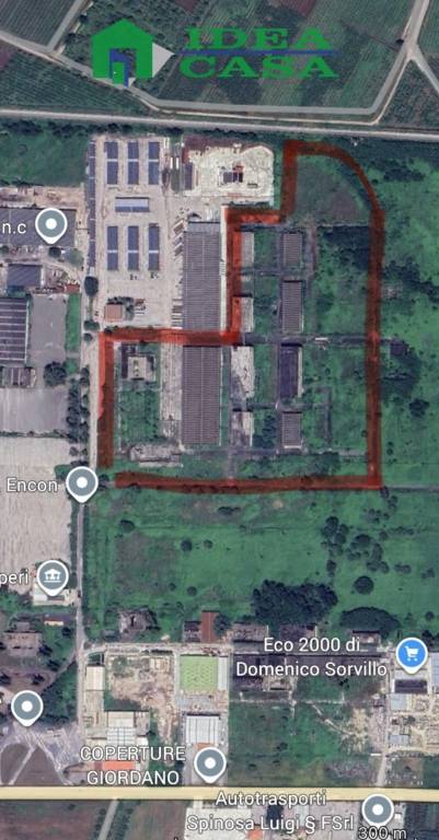 locale commerciale in vendita a Calvi Risorta