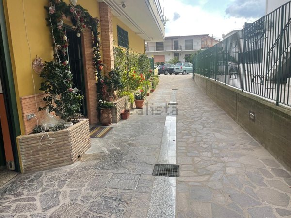 esavano in vendita a Calvi Risorta