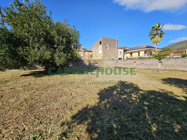 terreno in vendita a Calvi Risorta in zona Visciano