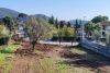 terreno in vendita a Calvi Risorta in zona Zuni