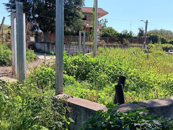 terreno in vendita a Calvi Risorta