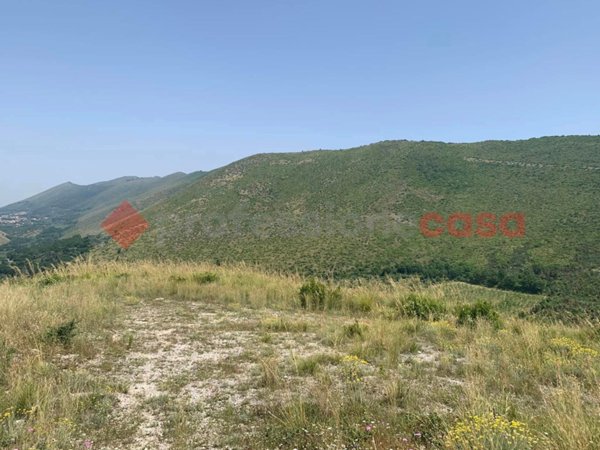 negozio in vendita a Camigliano