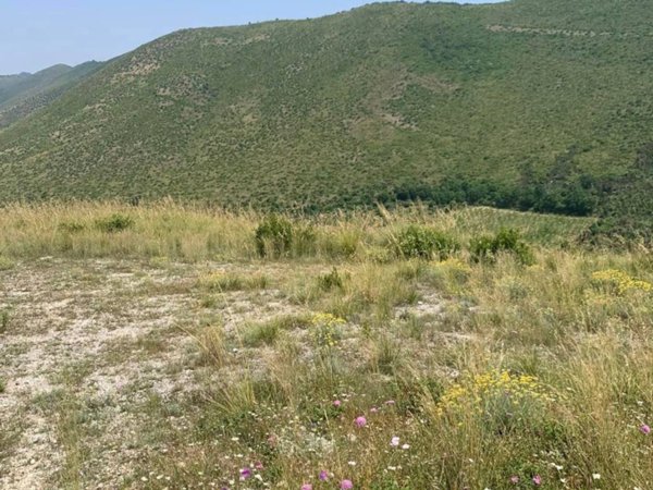 negozio in vendita a Camigliano