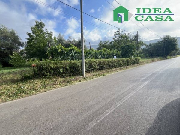 terreno agricolo in vendita a Camigliano