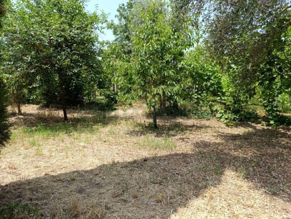 terreno edificabile in vendita a Camigliano