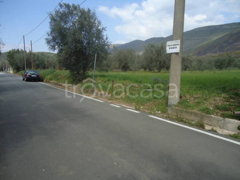 terreno agricolo in vendita a Camigliano in zona Leporano