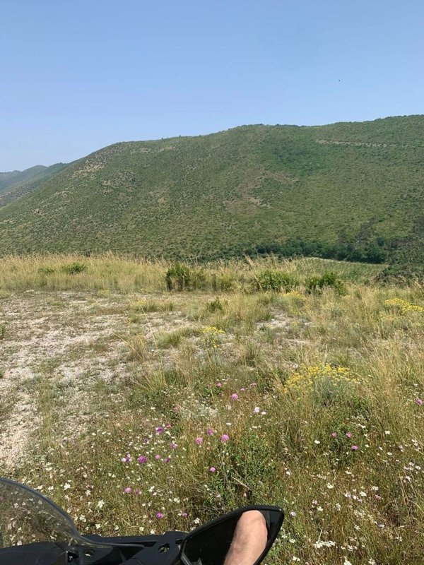 negozio in vendita a Camigliano