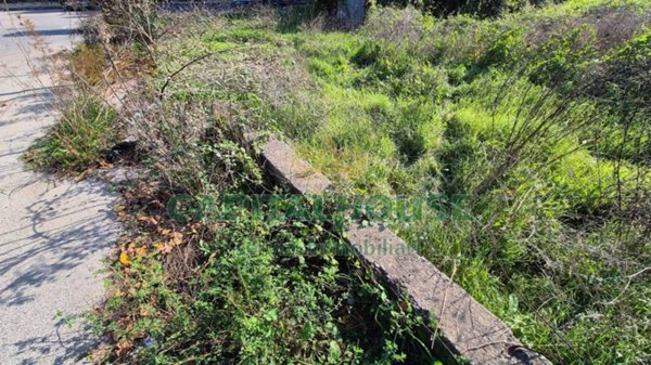 terreno edificabile in vendita a Camigliano