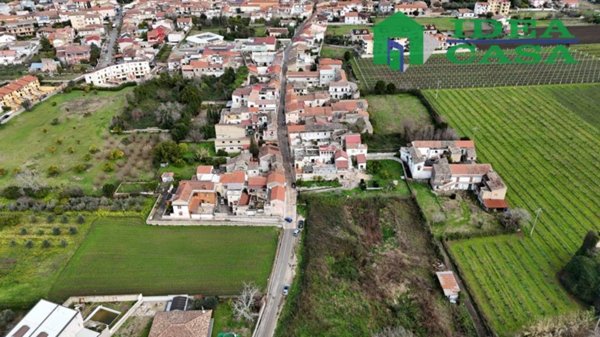 terreno agricolo in vendita a Camigliano in zona Falchi