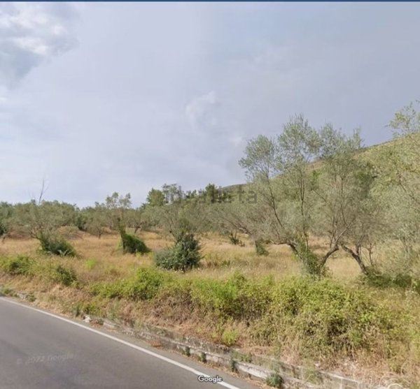 terreno agricolo in vendita a Camigliano