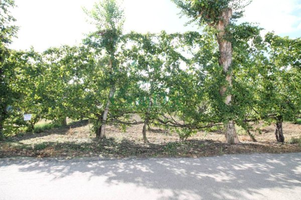 villa in vendita a Cancello ed Arnone