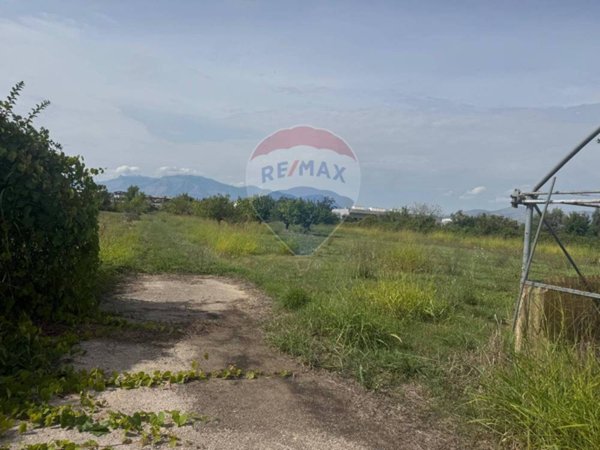 terreno agricolo in vendita a Cancello ed Arnone