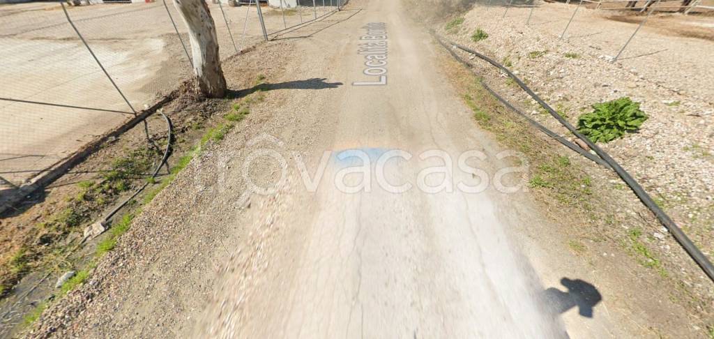 terreno agricolo in vendita a Cancello ed Arnone