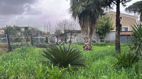terreno agricolo in vendita a Capodrise
