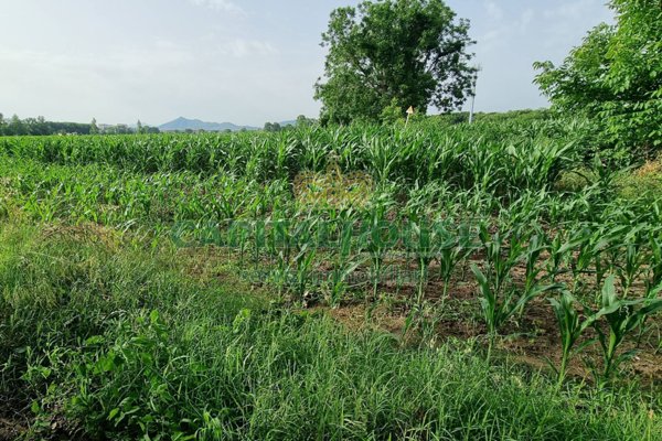terreno agricolo in vendita a Capodrise