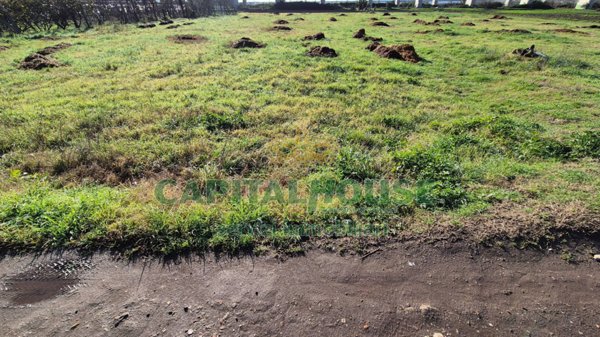 terreno agricolo in vendita a Capodrise