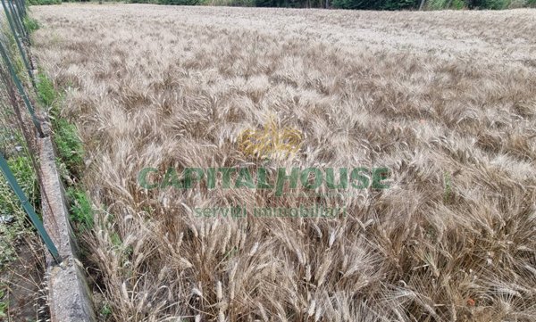 terreno agricolo in vendita a Capodrise