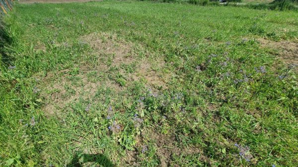 terreno edificabile in vendita a Capodrise