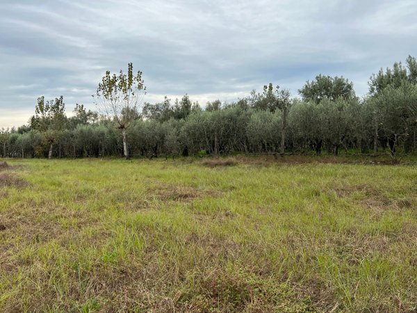 terreno agricolo in vendita a Capua