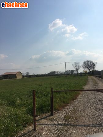 terreno agricolo in vendita a Capua
