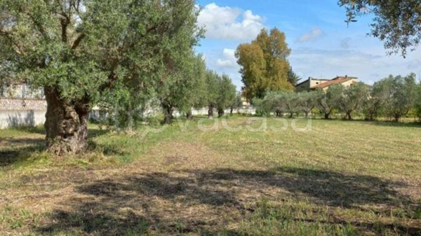 terreno agricolo in vendita a Capua