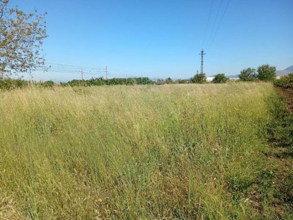 terreno agricolo in vendita a Capua