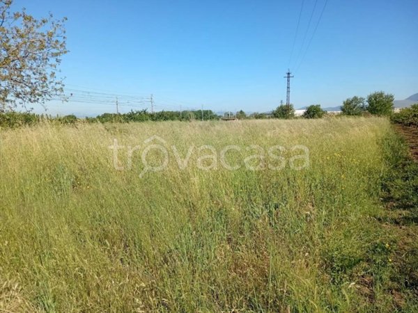 terreno agricolo in vendita a Capua