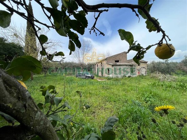 terreno agricolo in vendita a Capua
