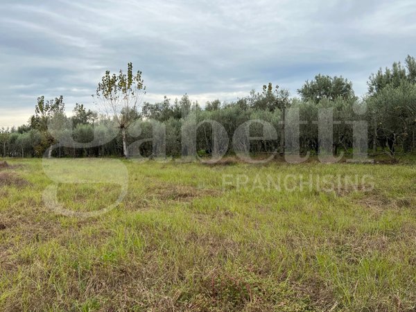 terreno agricolo in vendita a Capua
