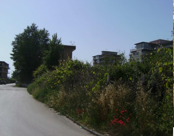 terreno agricolo in vendita a Capua