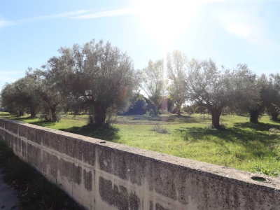 terreno edificabile in vendita a Capua