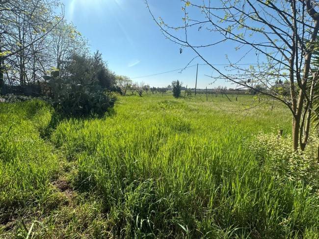 terreno agricolo in vendita a Capua