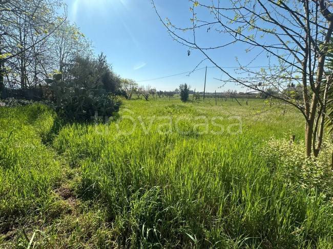 terreno agricolo in vendita a Capua