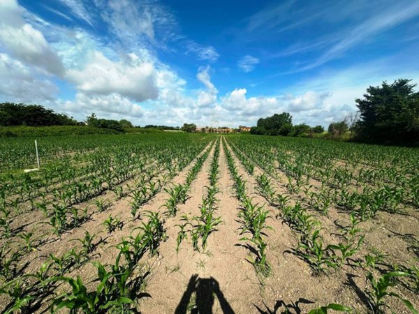 terreno agricolo in vendita a Capua in zona Sant'Angelo in Formis